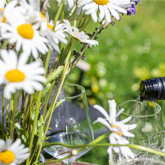 Bio-Wein