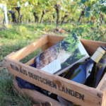 Workout im Weinberg